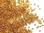 50 g Delica Glasperlen 11/0, Gold mit versilbertem Loch, Japanische Glasperlen Miyuki (Delica Seed Beads)