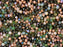 25 g (ca. 700 Stück) Mischung aus Tschechische Facettierten Glasperlen Fire-Polished Rund 3 mm, Forest Haze, Tschechisches Glas (Mix of Faceted Fire Polished Beads)