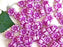 100 pcs Hibiskusblüten Perlen 9mm, Kreideweiß mit Violettem Dekor, Tschechisches Glas (Hibiscus Flower Beads)