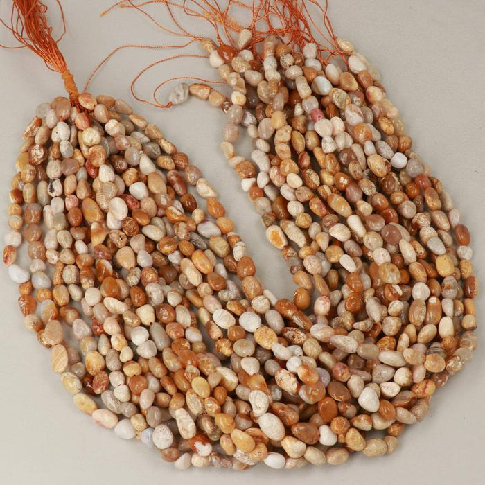 Edelsteinperlen 8x6 mm Korallenfossil-Nugget glatt  Farbe_Orange Farbe_ Brown