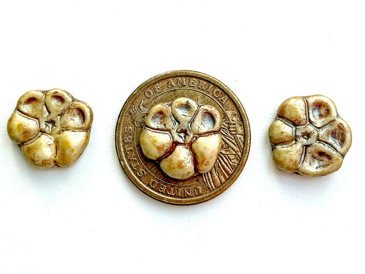 3 pcs Schlüsselblumen-Blütenperlen, 15 mm, Alabaster Kräuter & Gewürze Kümmel, Tschechisches Glas (Primrose Flower Beads)