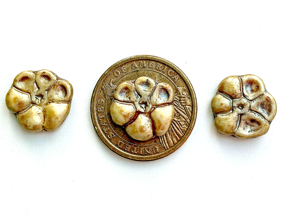 3 pcs Schlüsselblumen-Blütenperlen, 15 mm, Alabaster Kräuter & Gewürze Kümmel, Tschechisches Glas (Primrose Flower Beads)