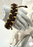 50 St. Pony Gepresste Perlen, Walze 5,5 mm im Durchmesser mit einem Loch von 2 mm, Böhmisches Glas, Weiß-Orange Luster