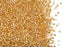 5 g 11/0 Miyuki Delica Japanische Rocailles, Kristall mit 24 Kt Gold vergoldetem Loch