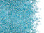 5 g 11/0 Miyuki Delica Japanische Rocailles, Aqua mit versilbertem Loch