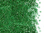 5 g 11/0 Miyuki Delica Japanische Rocailles, Hellgrün mit versilbertem Loch