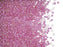 Delica Glasperlen 11/0 Gefüttert Helllila AB Japanische Glasperlen Miyuki Farbe_Purple Farbe_ Pink