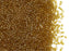 5 g 11/0 Miyuki Delica Japanische Rocailles, Transparent Safran glänzend
