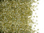 Delica Glasperlen 11/0 Transparenter Olivin-Goldglanz Japanische Glasperlen Miyuki Farbe_Green