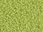Delica Glasperlen 15/0 Opak Chartreuse  Japanische Glasperlen Miyuki Color_Green