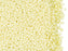 Rocaiiles 11/0 Gelb cremefarben Perlen Tschechisches Glas  Farbe_Yellow