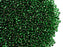 20 g 11/0 Rocailles Preciosa Ornela, Grün mit versilbertem Loch, quadratisches Loch, Tschechisches Glas