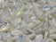 Lorbeerblattperlen 6x12 mm Alabaster voll AB Tschechisches Glas Farbe_White Farbe_ Multicolored