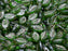 Lorbeerblattperlen 6x12 mm Chrysolith mit bronzenen Verzierung Tschechisches Glas Farbe_Green