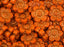 12 St. Blume Perlen 14mm, Tschechische Glas, Undurchsichtige Orange mit Bronzefarbener Farbe