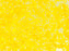 Quarter Tila™ Glasperlen 5x1.2x1.9 mm 2-Loch Opak Gelb Japanische Glasperlen Miyuki Farbe_Yellow