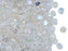 Runde Glasperlen flach 5x3 mm Kristall AB Tschechisches Glas Farbe_Multicolored