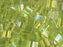 Tila™ Glasperlen  5x5 mm 2-Loch  Transparent Chartreuse AB Japanische Glasperlen Miyuki Farbe_Green Farbe_ Multicolored