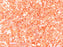 Quarter Tila™ Glasperlen 5x1.2x1.9 mm 2-Loch Opak Lachsfarben Luster Japanische Glasperlen Miyuki Farbe_Pink