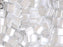 Tila™ Glasperlen  5x5 mm 2-Loch  Kristall Ceylon Japanische Glasperlen Miyuki Farbe_White