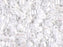 Delica Rocailles 8/0 Weiß Perlmutt Japanische Glasperlen Miyuki Farbe_White