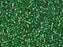 Delica Glasperlen 15/0 Hellgrün mit versilbertem Loch Japanische Glasperlen Miyuki Color_Green