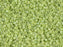 Delica Glasperlen 15/0 Opak Chartreuse AB mattiert Japanische Glasperlen Miyuki Color_Green