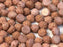 Rosetta Cabochons 6 mm 2-Loch  Kreideweiß Gold Luster Tschechisches Glas  Color_Gold Color_Brown
