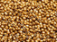 100 St. Fire Polished facettierte Glasperlen rund 3mm, Kristall, Bronze Gold, Tschechisches Glas