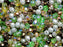 Mischung aus facettierten feuerpolierten Perlen 3 mm 5 сolors Forest Dunst Tschechisches Glas Farbe_
