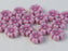 Hibiskusblüten Perlen 7mm Kreideweiß mit Fuchsia-Dekor Tschechisches Glas Farbe_White Farbe_ Purple