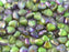 Herzperlen 6 mm Kristall geätzt Magische Orchidee Tschechisches Glas Farbe_Green Farbe_ Multicolored