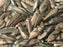 Dolchperlen 5x16 mm Kristall Capri Gold Streifen Mattiert Tschechisches Glas Farbe_Gold