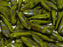 Dolchperlen 5x16 mm Undurchsichtiges Mintgrün Vakuum Hämatit Streifen Tschechisches Glas Farbe_Green Farbe_ Grey