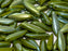 Dolchperlen 5x16 mm Undurchsichtiges Mintgrün Volles Licht AB Tschechisches Glas Farbe_Green Farbe_ Multicolored