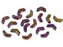 Glasperlen Arrow® 5x8 mm 2-Loch Jet Lila Iris Tschechisches Glas  Farbe_Purple