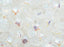 Glasperlen WibeDuo® 8x8 mm 2-Loch Kristall AB Tschechisches Glas Farbe_Clear Farbe_ Multicolored