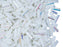 Bugles Preciosa Ornela 7x2.1 mm Alabaster AB Tschechisches Glas  Farbe_White Farbe_ Multicolored