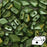 Diamonduo™ Beads 5x8 mm 2-Loch  Pastel Olivin Tschechisches Glas  Farbe_Green
