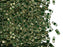 5 g Halb Tila Perlen 5x2.3x1.9 mm, 2-Loch, Olive Green Gold Luster, Miyuki Japanese Perlen