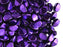 50 St. Pinch Beads gepresst 5x3,5mm, Violett Metallic, Tschechisches Glas