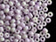 50 St. Pony Gepresste Perlen, Walze 5,5 mm im Durchmesser mit einem Loch von 2 mm, Böhmisches Glas, Weiß-Lila Luster