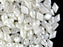30 St. DiamonDuo™ Bead - Tschechische gepresste Glasperlen in Form eines Diamanten Größe 5x8mm mit zwei Löchern,Alabaster Pastell Weiß