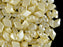 30 St. DiamonDuo™ Bead - Tschechische gepresste Glasperlen in Form eines Diamanten Größe 5x8mm mit zwei Löchern,Alabaster Pastell Cream