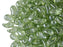 20 St. ZoliDuo® Linke Version Perlen, Teardrop 5x8mm mit zwei Löchern, Böhmisches Glas, Kristallgrüner Glanz