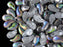 20 St. ZoliDuo® Linke Version Perlen, Teardrop 5x8mm mit zwei Löchern, Böhmisches Glas, Kristall Ätzen Vitrail