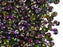 20 g SuperDuo Rocailles 2.5x5mm Zwei Löcher, Böhmisches Glas, Magie Violett-Grün