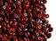20 g SuperDuo Rocailles 2.5x5mm Zwei Löcher, Böhmisches Glas, Koralle Rot Picasso Luster